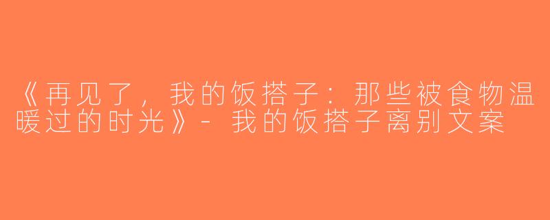 《再见了，我的饭搭子：那些被食物温暖过的时光》-我的饭搭子离别文案