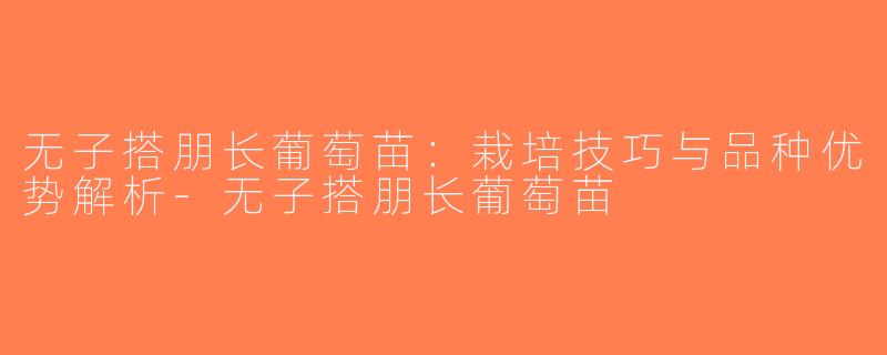无子搭朋长葡萄苗：栽培技巧与品种优势解析-无子搭朋长葡萄苗