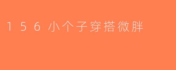 156小个子穿搭微胖