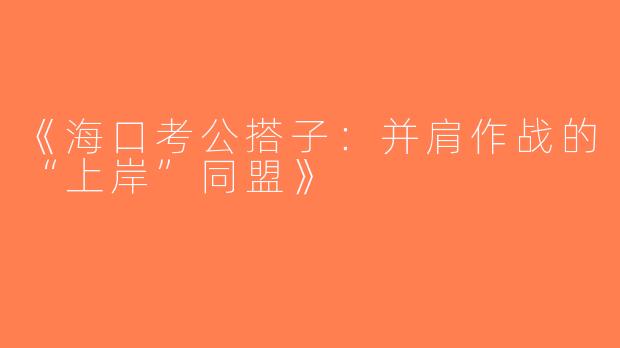 《海口考公搭子：并肩作战的“上岸”同盟》