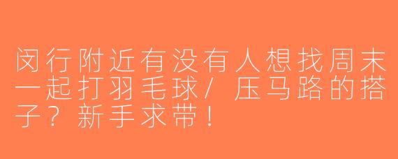 闵行附近有没有人想找周末一起打羽毛球/压马路的搭子？新手求带！