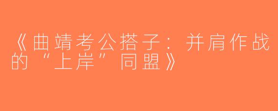 《曲靖考公搭子：并肩作战的“上岸”同盟》