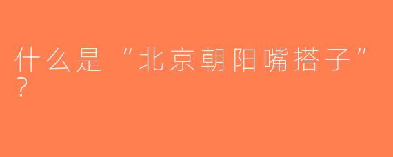 什么是“北京朝阳嘴搭子”？