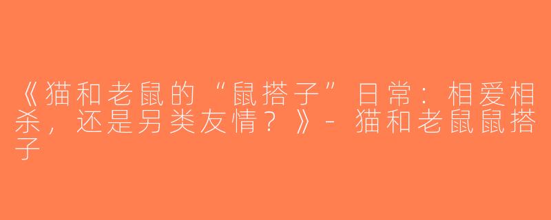 《猫和老鼠的“鼠搭子”日常：相爱相杀，还是另类友情？》-猫和老鼠鼠搭子