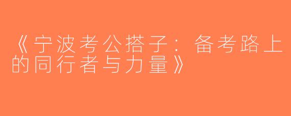 《宁波考公搭子：备考路上的同行者与力量》