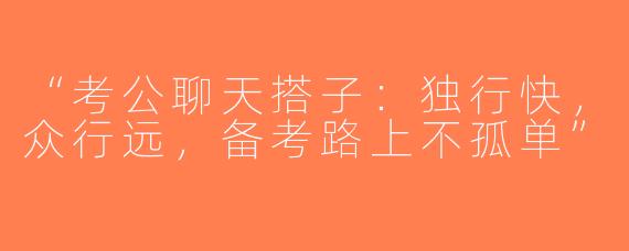 “考公聊天搭子：独行快，众行远，备考路上不孤单”