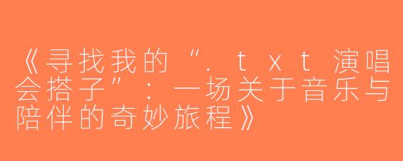 《寻找我的“.txt演唱会搭子”：一场关于音乐与陪伴的奇妙旅程》