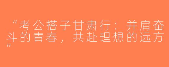 “考公搭子甘肃行：并肩奋斗的青春，共赴理想的远方”