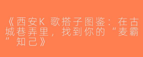 《西安K歌搭子图鉴：在古城巷弄里，找到你的“麦霸”知己》