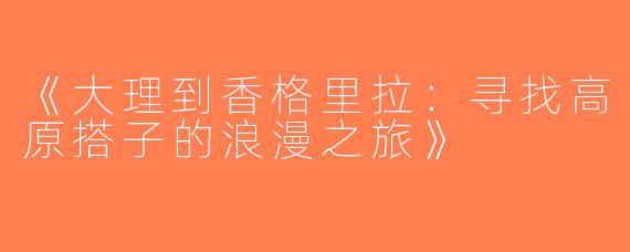 《大理到香格里拉：寻找高原搭子的浪漫之旅》