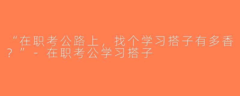 “在职考公路上，找个学习搭子有多香？”-在职考公学习搭子