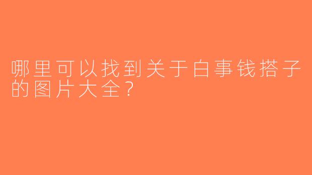 哪里可以找到关于白事钱搭子的图片大全？