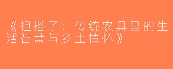 《担搭子：传统农具里的生活智慧与乡土情怀》