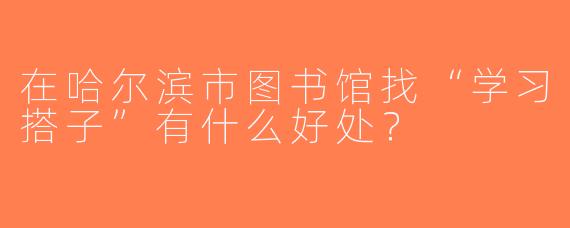 在哈尔滨市图书馆找“学习搭子”有什么好处？