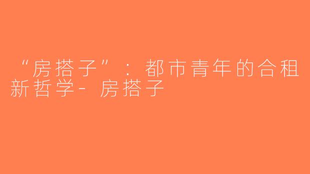 “房搭子”：都市青年的合租新哲学-房搭子
