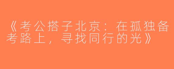 《考公搭子北京：在孤独备考路上，寻找同行的光》