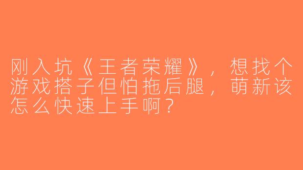 刚入坑《王者荣耀》，想找个游戏搭子但怕拖后腿，萌新该怎么快速上手啊？