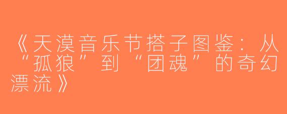 《天漠音乐节搭子图鉴：从“孤狼”到“团魂”的奇幻漂流》