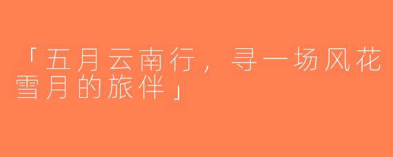 「五月云南行，寻一场风花雪月的旅伴」