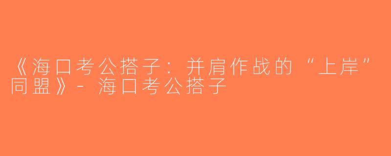 《海口考公搭子：并肩作战的“上岸”同盟》-海口考公搭子