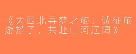 《大西北寻梦之旅：诚征旅游搭子，共赴山河辽阔》
