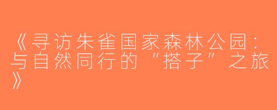 《寻访朱雀国家森林公园：与自然同行的“搭子”之旅》