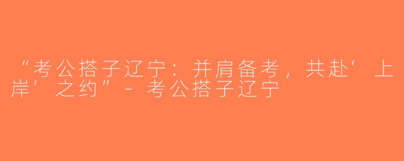 “考公搭子辽宁：并肩备考，共赴‘上岸’之约”-考公搭子辽宁
