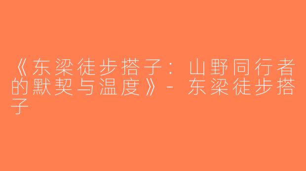 《东梁徒步搭子：山野同行者的默契与温度》-东梁徒步搭子