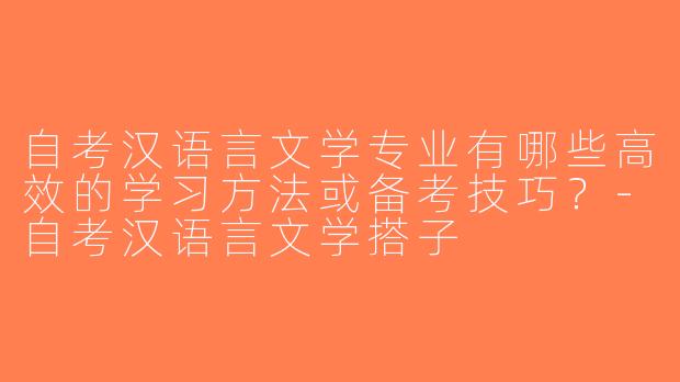 自考汉语言文学专业有哪些高效的学习方法或备考技巧？-自考汉语言文学搭子
