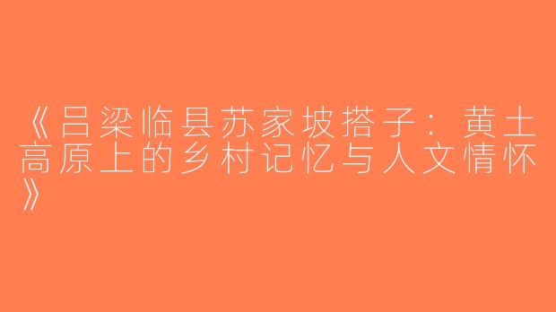 《吕梁临县苏家坡搭子：黄土高原上的乡村记忆与人文情怀》