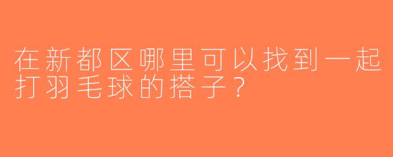 在新都区哪里可以找到一起打羽毛球的搭子？