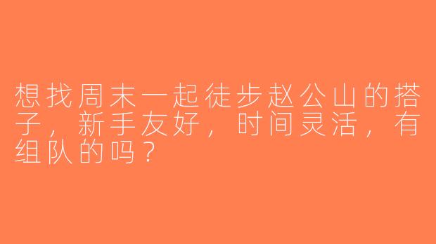 想找周末一起徒步赵公山的搭子，新手友好，时间灵活，有组队的吗？