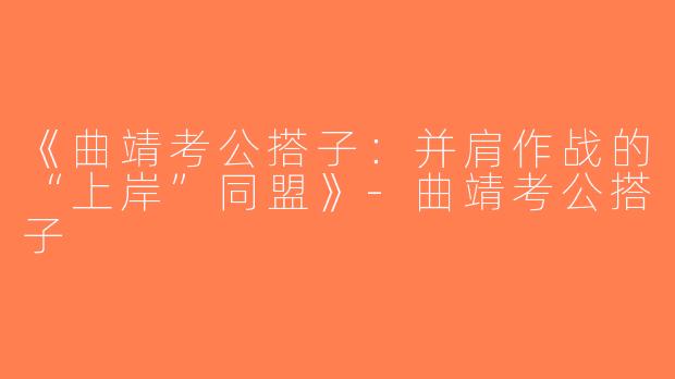 《曲靖考公搭子：并肩作战的“上岸”同盟》-曲靖考公搭子
