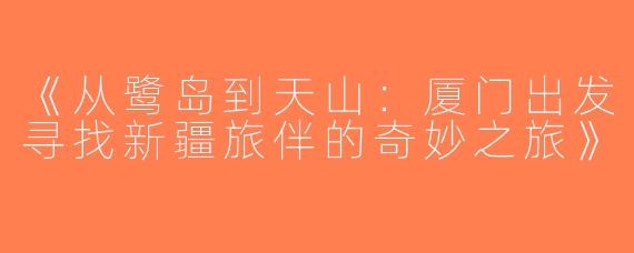《从鹭岛到天山：厦门出发寻找新疆旅伴的奇妙之旅》