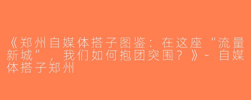 《郑州自媒体搭子图鉴：在这座“流量新城”，我们如何抱团突围？》-自媒体搭子郑州