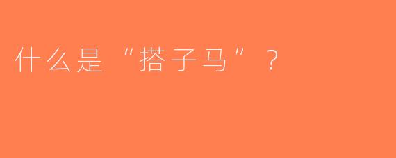 什么是“搭子马”？