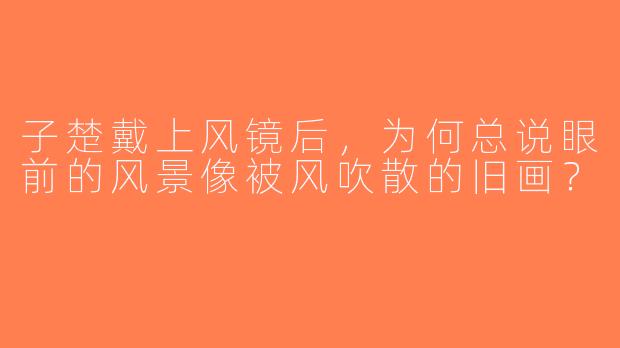 子楚戴上风镜后，为何总说眼前的风景像被风吹散的旧画？