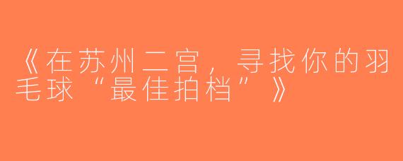 《在苏州二宫，寻找你的羽毛球“最佳拍档”》