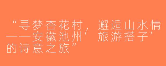 “寻梦杏花村，邂逅山水情——安徽池州‘旅游搭子’的诗意之旅”