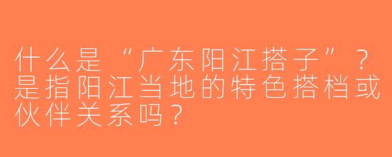 什么是“广东阳江搭子”？是指阳江当地的特色搭档或伙伴关系吗？