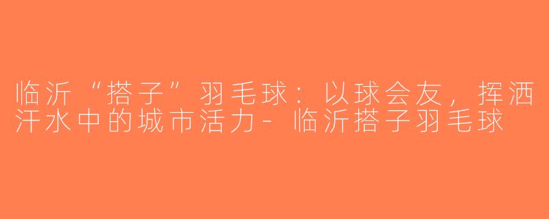 临沂“搭子”羽毛球：以球会友，挥洒汗水中的城市活力-临沂搭子羽毛球