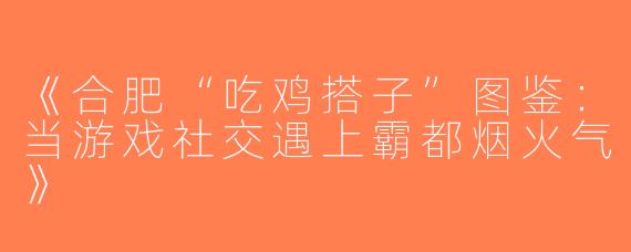 《合肥“吃鸡搭子”图鉴：当游戏社交遇上霸都烟火气》