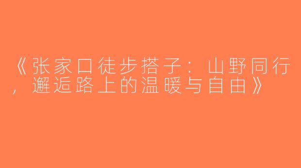 《张家口徒步搭子：山野同行，邂逅路上的温暖与自由》