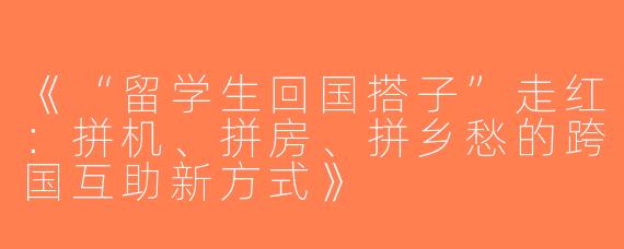 《“留学生回国搭子”走红：拼机、拼房、拼乡愁的跨国互助新方式》
