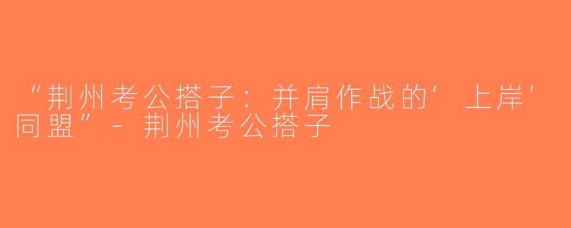 “荆州考公搭子：并肩作战的‘上岸’同盟”-荆州考公搭子