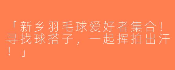 「新乡羽毛球爱好者集合！寻找球搭子，一起挥拍出汗！」