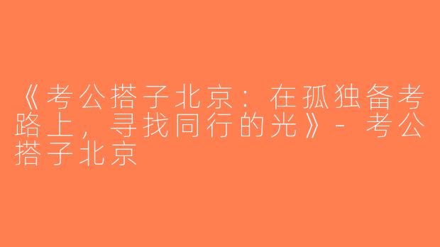《考公搭子北京：在孤独备考路上，寻找同行的光》-考公搭子北京