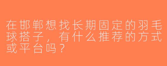 在邯郸想找长期固定的羽毛球搭子，有什么推荐的方式或平台吗？