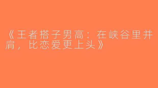 《王者搭子男高：在峡谷里并肩，比恋爱更上头》