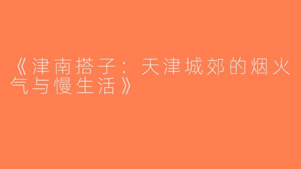 《津南搭子：天津城郊的烟火气与慢生活》